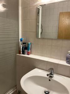 ein Badezimmer mit Waschbecken und Spiegel in der Unterkunft Sabrine E-biks in Kaiserslautern