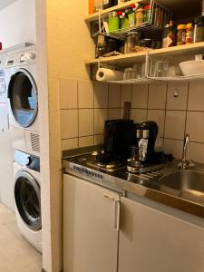 eine Küche mit Spüle und Waschmaschine in der Unterkunft Sabrine E-biks in Kaiserslautern