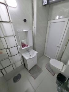 スコピエにあるTi-88 Apartmentの洗面台とトイレを備えた白いバスルーム