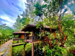 a cabin in the middle of a forest at BMB Boun Marvin Payham Bungalows in Ko Phayam