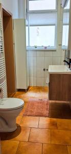 a bathroom with a toilet and a sink and a window at Platz für Gruppe, Familie, Hund mit Garten, See-Nah in Reinhausen +17 photos