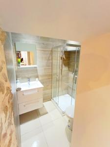 Un baño con ducha, lavabo e inodoro. en Cosy campagne, en Pont-sur-Seine