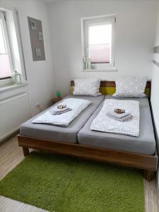 two beds in a room with a green rug at Ferienwohnung am Hopfengarten in Illschwang