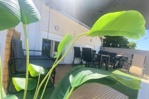 Φωτογραφία από το άλμπουμ του Casa Porto στην Ιερισσό +18 φωτογραφίες