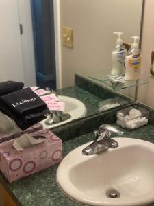 a bathroom counter with a sink and a mirror at Lazy Days Geneva On The Lake in Geneva