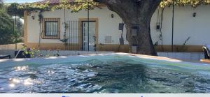 Bazén v ubytování Quinta da Horta Nova nebo v jeho okolí