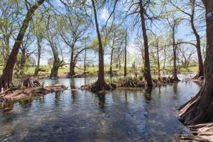 Naturlandskabet i nærheden af feriehuset