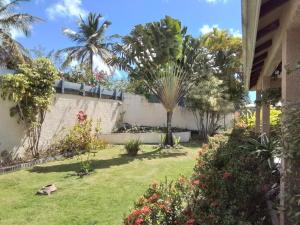 a garden with palm trees and flowers in a yard at Le Jardin aux Oiseaux in Sainte-Anne