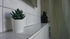 a green plant in a white pot on a counter at Zentrale & frisch renovierte Unterkunft am Bahnhof in Kirchheim unter Teck +8 photos