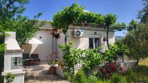 a small white house with a lot of vines at Ferienhaus In Thasos Mit Großer Terrasse in Potamia