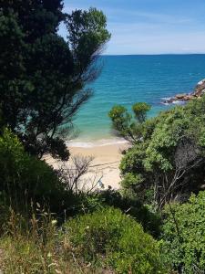 a view of a beach with trees and the ocean at Āporo bach - a country retreat in Tasman +2 photos