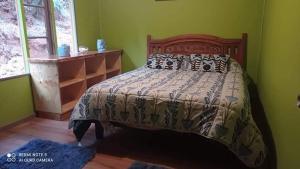 een slaapkamer met een bed in een groene kamer bij Cabaña PACASTY in Valdivia