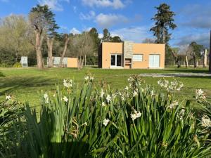 une maison dans un champ avec des fleurs au premier plan dans l'établissement Cabañas Agapanthus Las Marias, à Tandil