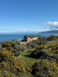 une maison sur une colline avec l'océan en arrière-plan dans l'établissement Paiaka Suite - The Perfect Getaway, à Lower Hutt