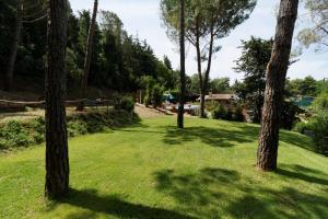 a grassy area with trees and a park at B&B Vecchia Fonte in Campiglia Marittima