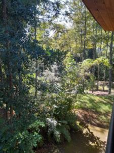 Gallery image of collico lodge kilometro 4 relun in Villarrica