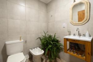 a bathroom with a toilet and a sink and a mirror at Departamento familiar a estrenar in Las Parejas +6 photos
