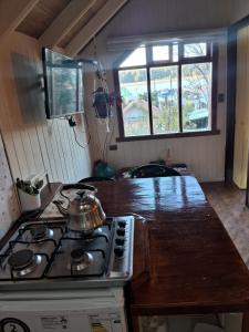 a kitchen with a stove and a counter top at Cabañas Queule in Queule
