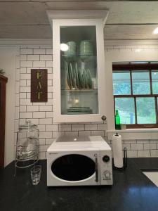 un forno a microonde seduto su un bancone in cucina di Historic bungalow on Church Street a Georgetown