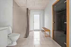 a bathroom with a toilet and a walk in shower at 20503-Samso-Strandkrogen-37 in Sælvig +30 photos