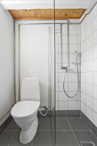 a bathroom with a toilet and a shower at 20313-Samso-Orby-Hovedgade-53 in Brundbymark +21 photos