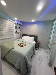 サンファンにあるChic 1BR 10 off jet Ski at Archi Rentalのボウルが置かれたベッドのある寝室