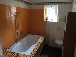 a bathroom with a large tub and a toilet at U Evy Jarošové in Desná +12 photos