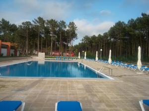 duży basen z niebieskimi krzesłami i drzewami w obiekcie Parque de Campismo Orbitur Vagueira w mieście Gafanha da Boa Hora