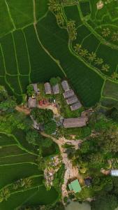 Fotografie z fotogalerie ubytování Serene Boulder v destinaci Hampi + 72 fotografií