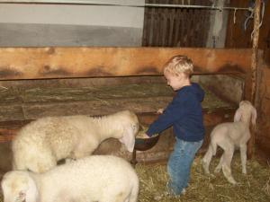 Bambini che soggiornano presso Floachhof