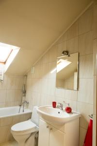 uma casa de banho com um lavatório, um WC e um espelho. em Apartament City Center Studio DeLuxe em Krynica-Zdrój