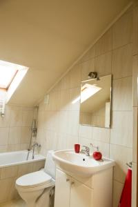 a bathroom with a sink and a toilet and a mirror at Apartament City Center Studio DeLuxe in Krynica Zdrój