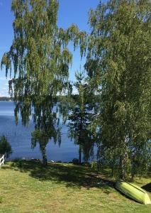 a tree and a canoe on the shore of a lake at Rauha Marina 5 in Imatra +8 photos