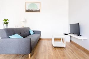 un soggiorno con divano grigio e TV di Diderot - Beautiful Cosy Apartment in Grenoble - Gare a Grenoble