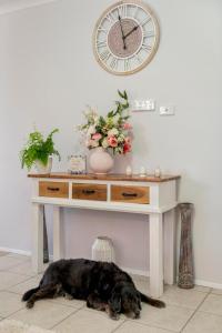 Gallery image of Pet friendly Gold Coast holiday home, Sleeps 7, 10min walk to 'Wet n Wild' in Gold Coast