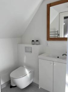 a white bathroom with a toilet and a mirror at AE231-Marstal-Ny-Mollergade-2-A in Marstal