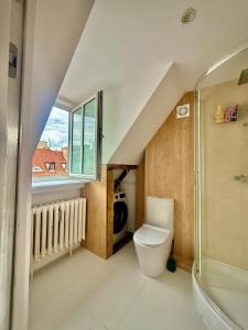 a bathroom with a toilet and a shower and a window at 1 room in Poznań