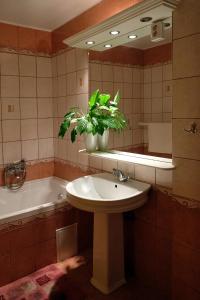 ジュラにあるVár-Torony Apartmanのバスルーム(シンク、鏡、植物付)