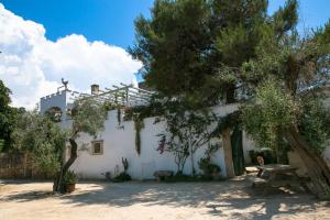 Una casa blanca con un árbol delante. en Masseria Nanni, en Gallipoli