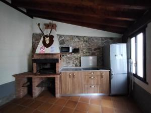 a kitchen with a counter and a refrigerator at Albergue Turístico Briz in Espinama