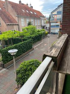 a wooden bench on a city street with buildings at Franciscus in Bergen op Zoom
