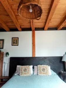 una camera da letto con un letto con soffitto in legno di Suite en cuadra pajar, casa Rural a Hoz de Jaca Altre 19 foto