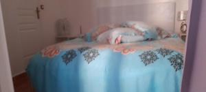 Fotografie z fotogalerie ubytování NICE EXCEPTIONNEL 2 PIECES 40 m2 DANS GRAND APPARTEMENT D HOTE ATYPIQUE ORIGINAL 200 m mer PROMENADE DES ANGLAIS, PLAGES v Nice