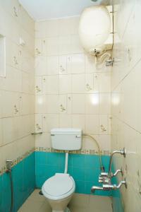 a bathroom with a white toilet and a blue and white tiles at Jevis daffodils in Ooty