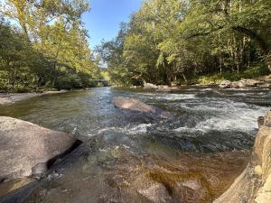 Naturlandskabet i nærheden af lejligheden