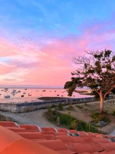 a beach with a tree and boats in the water at Escale Aixoise, gîte de vacances, vue mer, 5 chambres in Île dʼAix
