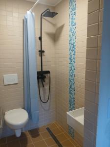 a bathroom with a toilet and a shower and a sink at Pension Ambiente in Mühlberg +24 photos