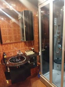 a bathroom with a sink and a shower at B&B Apartment Mountain View in Vratsa