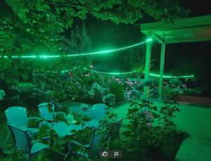 a garden lit up at night with green lights at Sujo Land Hotel in Dargai +1 photo