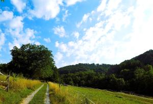Příroda nedaleko apartmánu